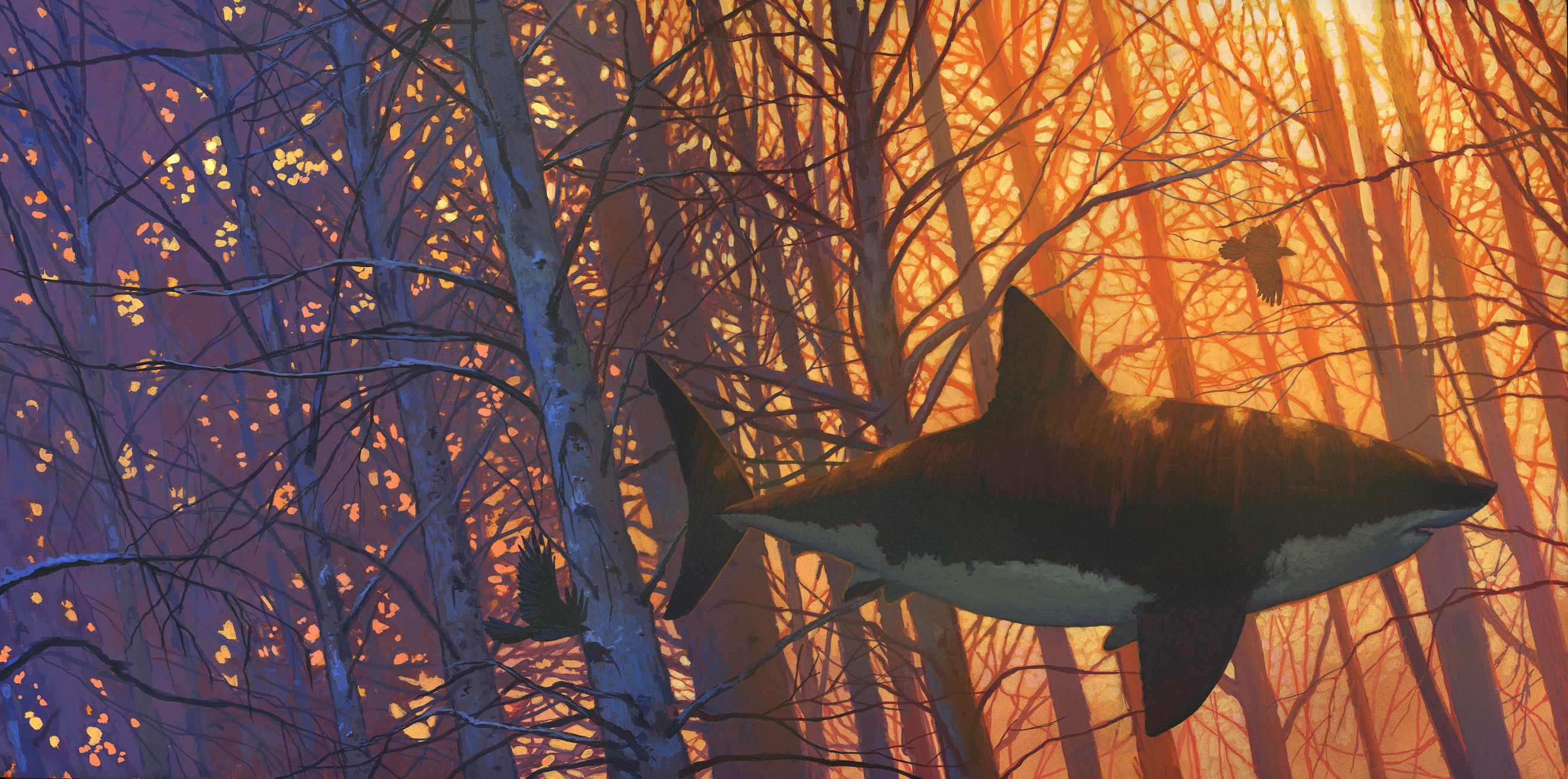 Chris Austin's "Happily Lost"