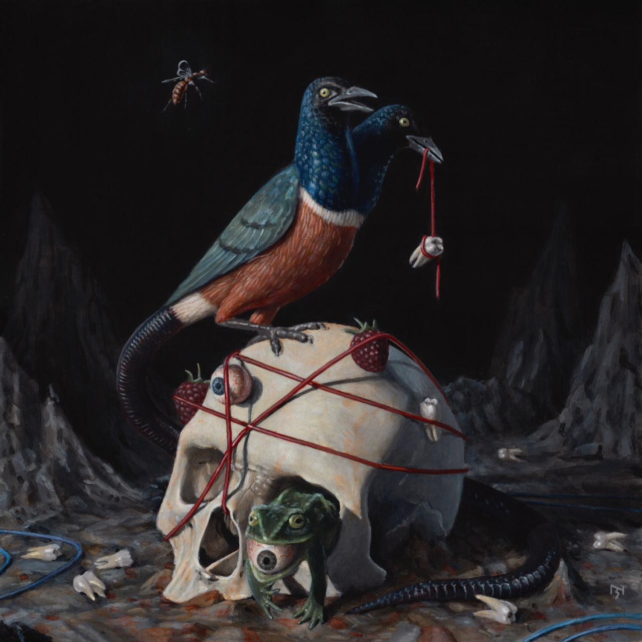 Nick Sheehy's "Hollows"