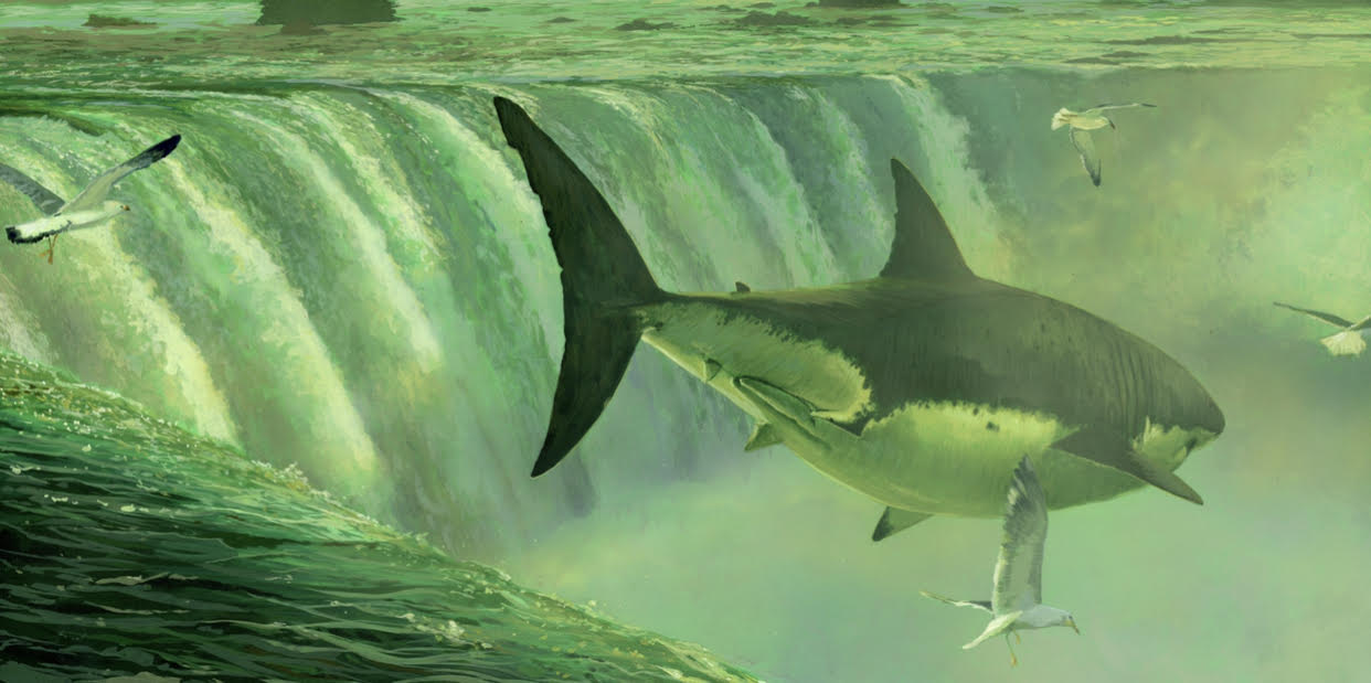 Chris Austin's "Wander To Find The Journey"