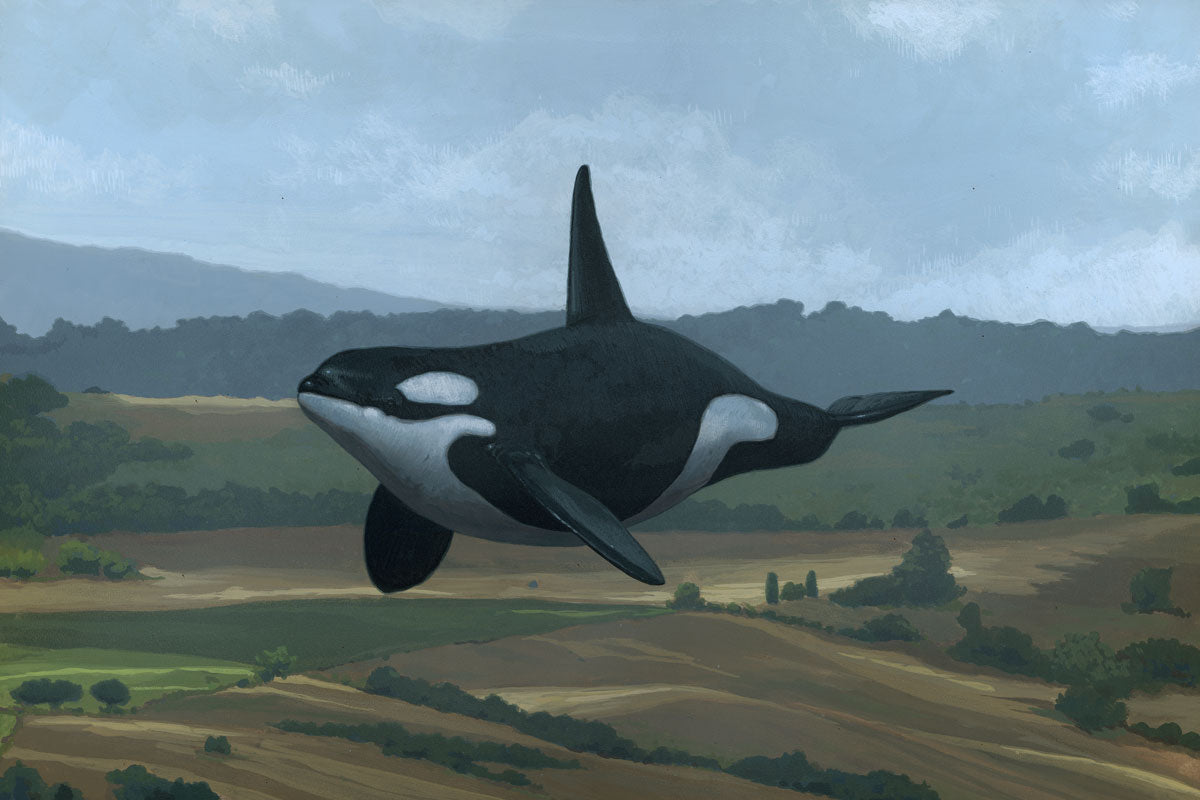 Get On With It" by Chris Austin features a realistic orca floating above rolling hills and trees under a cloudy sky, with hand-painted details enhancing this archival pigment print.