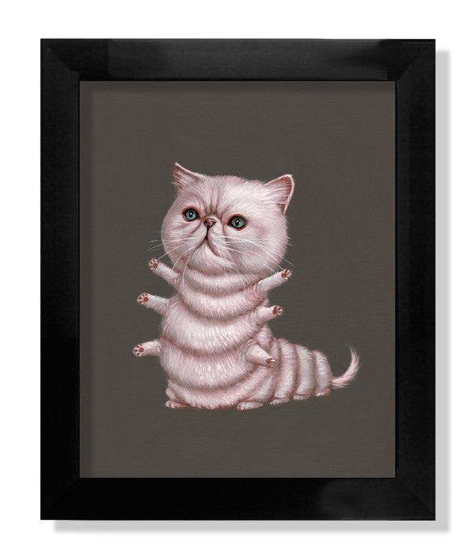 "Exotic Shorthair"