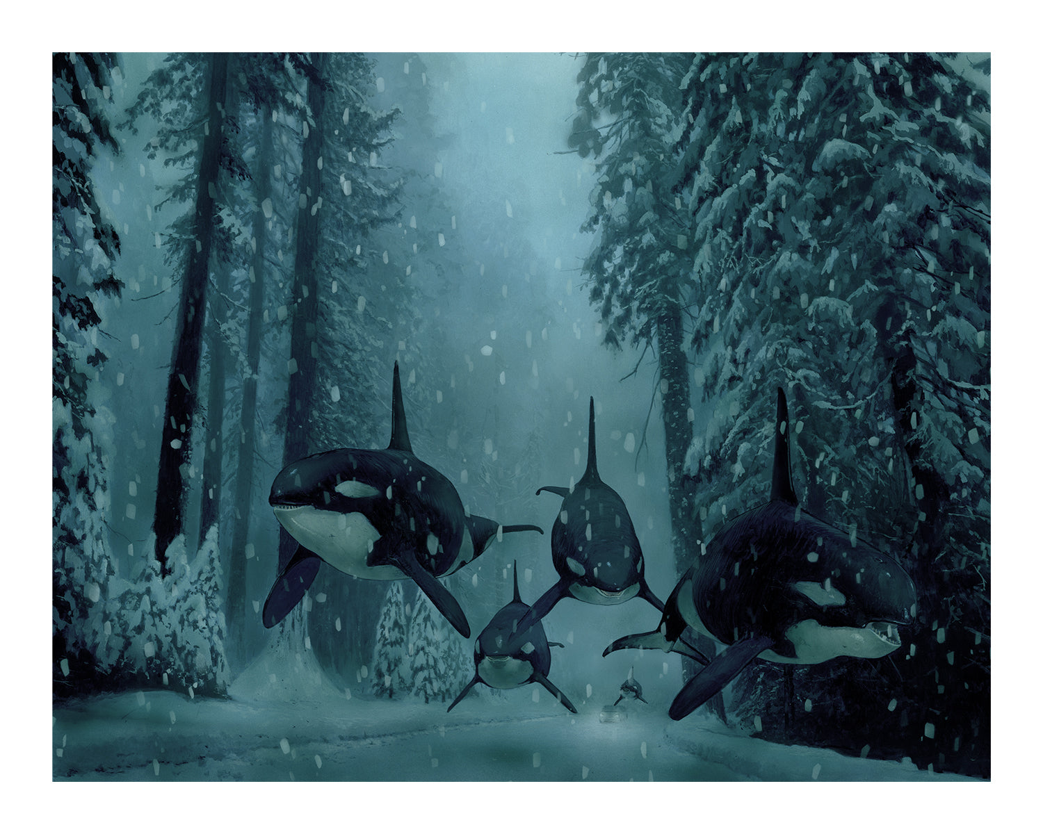 In A Quiet Dream by Chris Austin, four orcas swim through a snowy forest with tall, snow-dusted trees and falling snowflakes. The orcas glide seemingly in the air, creating a magical scene. This archival pigment print is signed and numbered for authenticity.