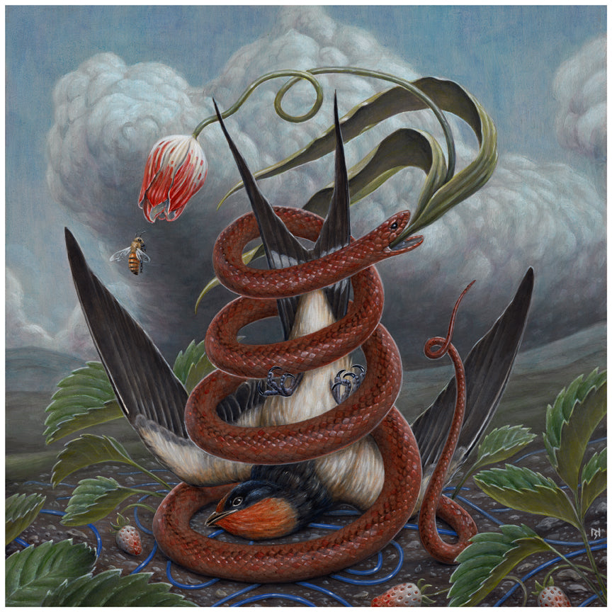 In A Slow Crash, by Nick Sheehy, a red snake coils around a bird with its wings spread. Above, a red and white tulip and bumblebee hover amidst ominous clouds and lush greenery with strawberries. This Limited Edition Archival Pigment Print captures nature in tension.