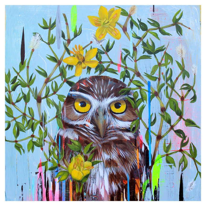Frank Gonzales Desert Aura depicts a brown owl with striking yellow eyes, surrounded by green leaves and yellow flowers on a blue background. Colorful paint drips add an abstract flair, while the Archival Pigment Print technique enhances its vivid colors.