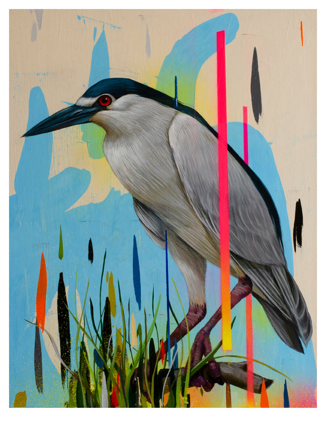 Frank Gonzales Black Crowned Night Heron illustration showcases a heron with a dark cap, poised on grass and branches against an abstract backdrop featuring splashes of blue, yellow, black, and neon stripes in an archival pigment print.