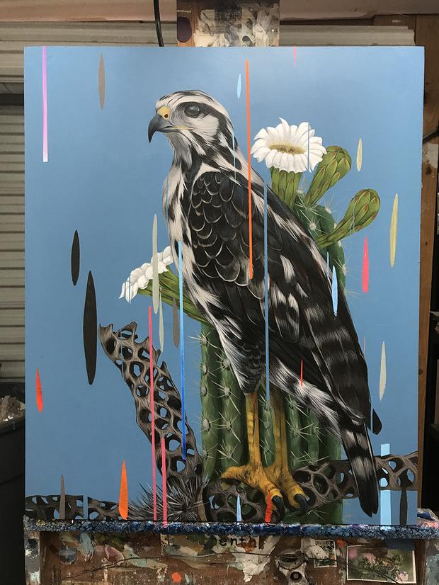 Frank Gonzales Juvenile Black Hawk features a vibrant portrayal of the bird perched on a branch against blue, surrounded by dynamic abstract elements like white flowers and cactus shapes. The composition comes alive with dripping paint streaks, beautifully captured in an archival pigment print.