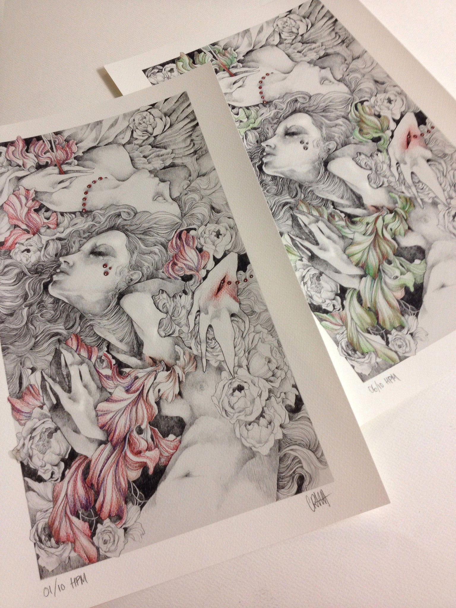 Safe Passage HPM by Craww features two detailed pencil drawings of a woman amidst roses and abstract shapes. Each hand-embellished giclee print includes floral and feather elements with vibrant red and green splashes in a dreamlike composition, signed and numbered for authenticity.