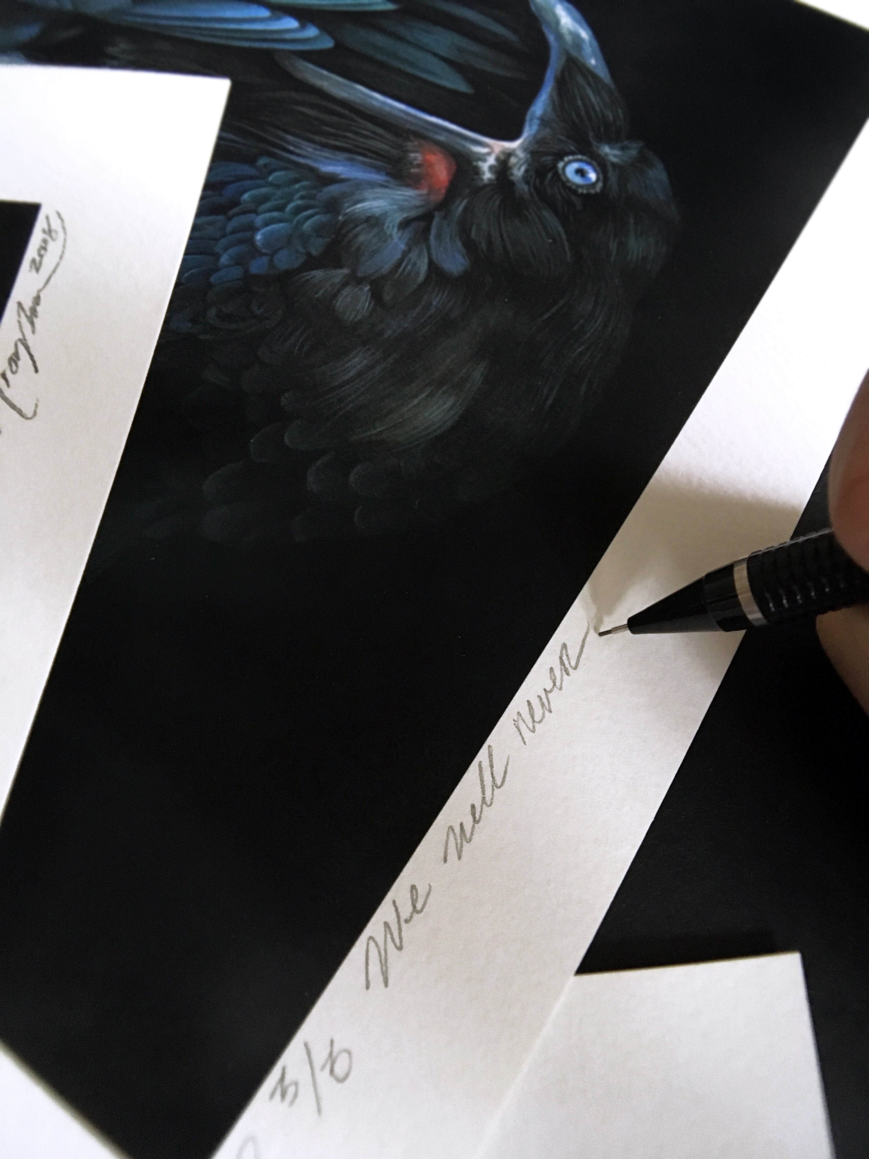 A person signs We Will Never Get To The Bottom Of It, an Archival Pigment Print by Christina Mrozik, showcasing a detailed black bird with blue and green feathers and a striking eye, with a cursive signature on the white border of this Limited Edition artwork.