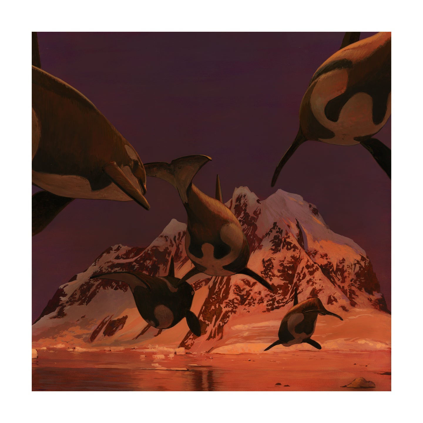 The artwork In A Silent Way by Chris Austin is a signed and numbered archival pigment print, featuring penguins diving in front of snow-covered mountains under a dramatic sky, captured in stunning detail.