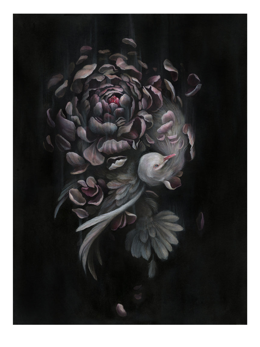 In the archival pigment print Made By Surrender by Christina Mrozik, a white bird gracefully flutters through swirling pink and purple flower petals against a dark background, evoking movement and ethereal beauty.