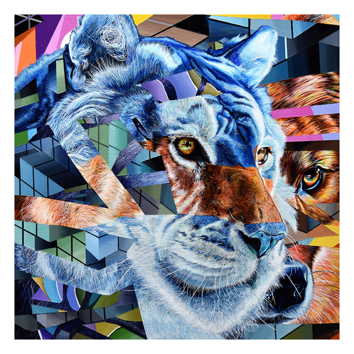 Expiring #6 by Juan Travieso is a vivid abstract collage featuring animal faces—tiger, wolf, and monkey—enhanced with geometric patterns and bold colors. This archival pigment print is signed and numbered for uniqueness.