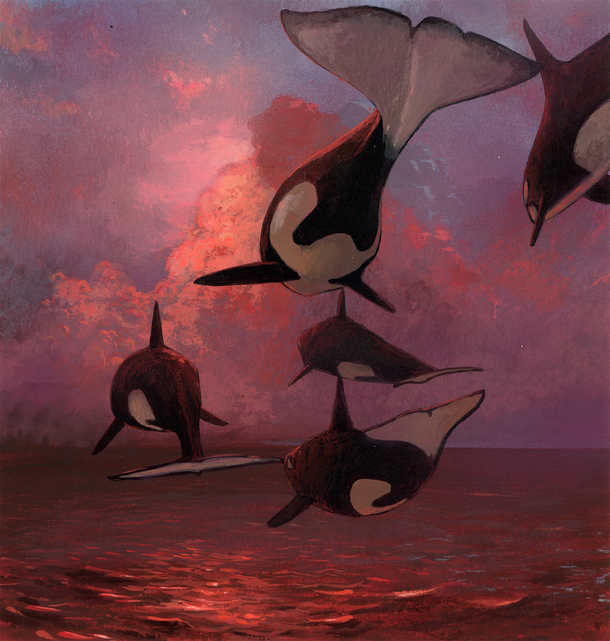 In Chris Austins Where the Sky Touches the Sea, four orcas swim through a sky above a red-tinted ocean at sunset, blending fantasy and nature in an exquisite Archival Pigment Print.