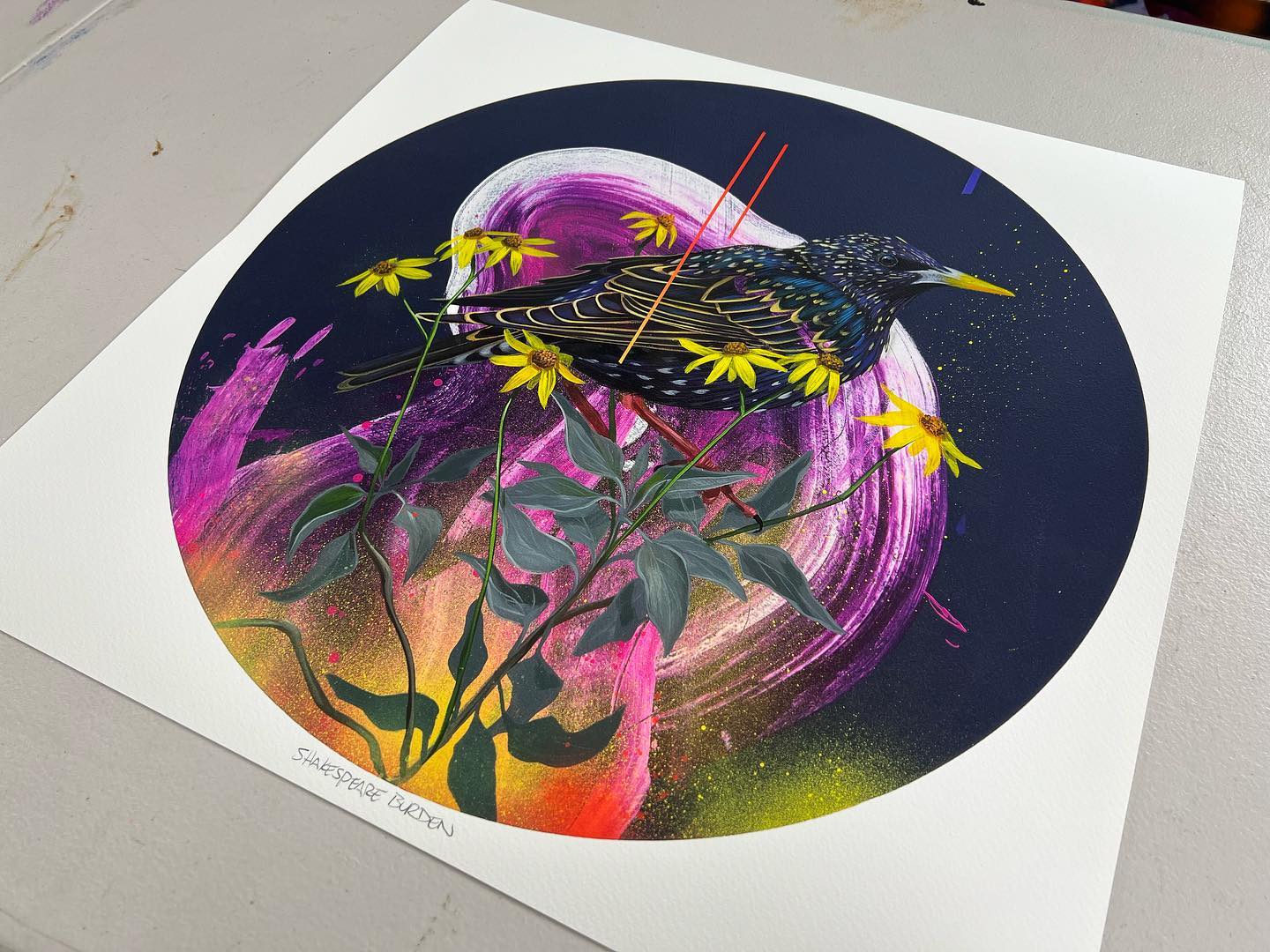The circular Shakespeare Burden print by Frank Gonzales showcases a black bird on yellow flowers with a vibrant swirl background of purple, pink, and orange. Its an archival pigment signed and numbered artwork.