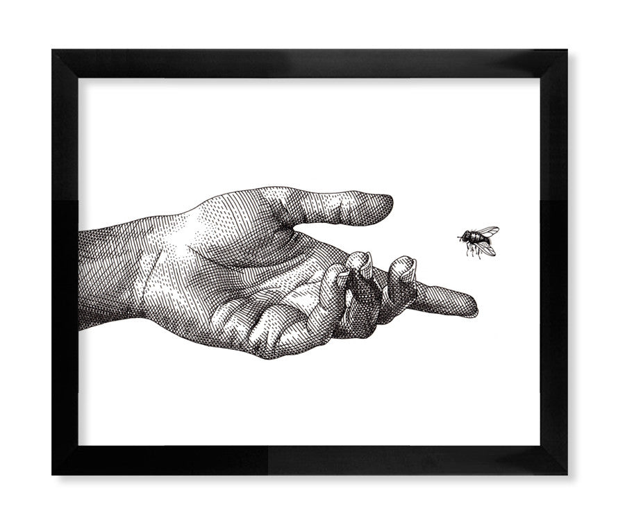 A detailed sketched hand with palm up and slightly curled fingers extends towards a small fly in this fine art giclee print, Hand by Olivia Knapp. Set in a black frame, it enhances the intricate design on luxurious watercolor paper.