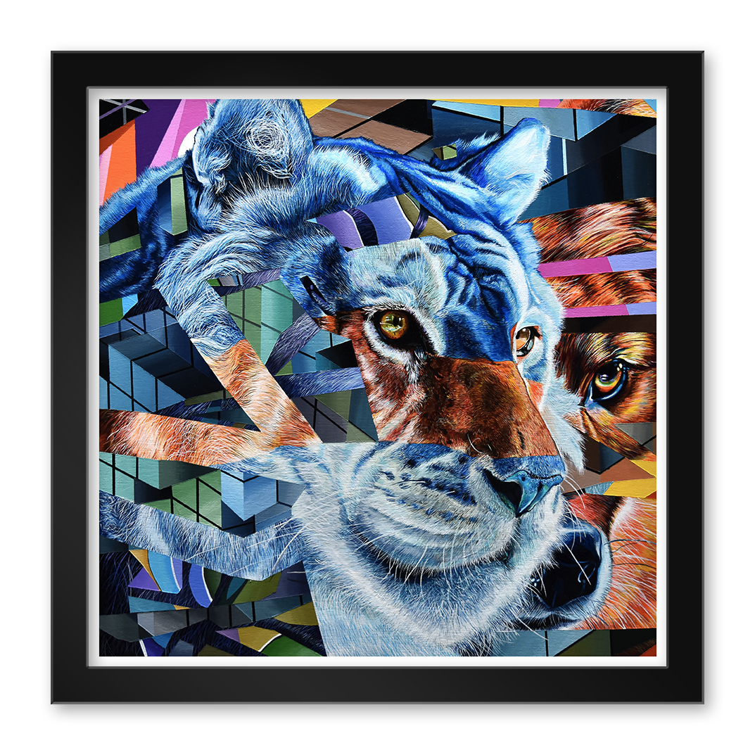 The Expiring #6 by Juan Travieso is a signed and numbered archival pigment print depicting a tigers face with colorful geometric shapes in blue, orange, and green against a textured background.