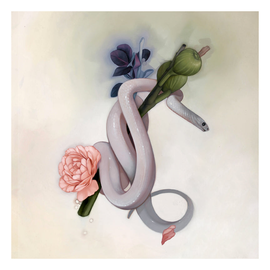 Kelsey Becketts Snake Fruit elegantly depicts a white snake encircling a floral arrangement with a pink rose and green buds in an archival pigment print, set against a soft, muted gradient background.