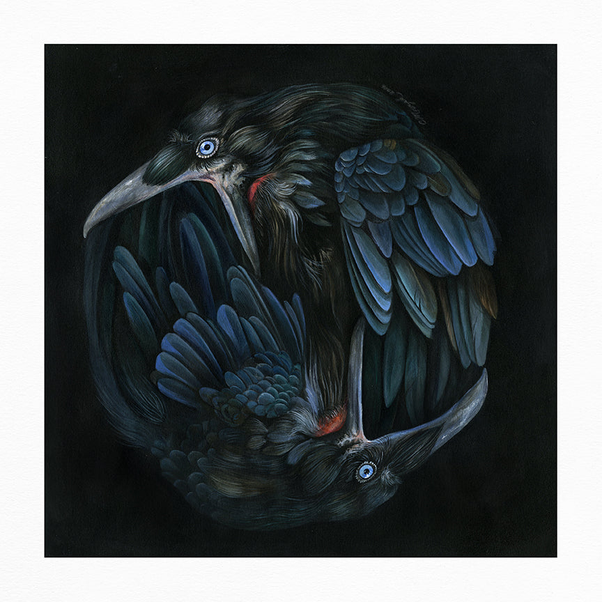 The limited edition illustration We Will Never Get To The Bottom Of It by Christina Mrozik showcases two intricately detailed ravens intertwined in a circle against a black background. Their feathers blend shades of blue and black, accented with bright blue eyes, enhanced by archival pigment print for a striking effect.