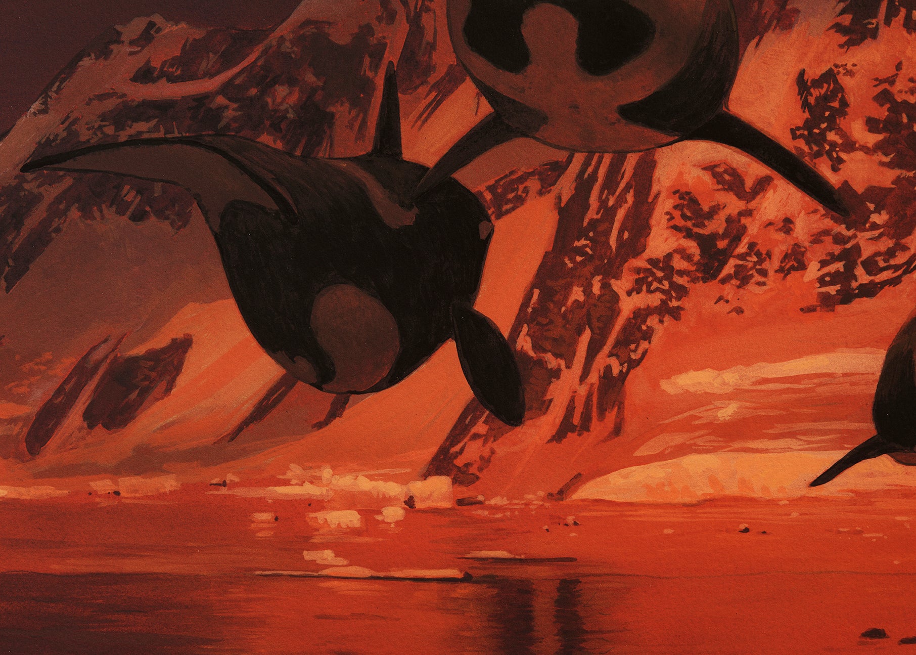 A pod of orcas moves near steep cliffs in a red-orange hue, evoking Chris Austins In A Silent Way. The mirrored water enhances the surreal atmosphere, akin to a signed and numbered archival pigment print.