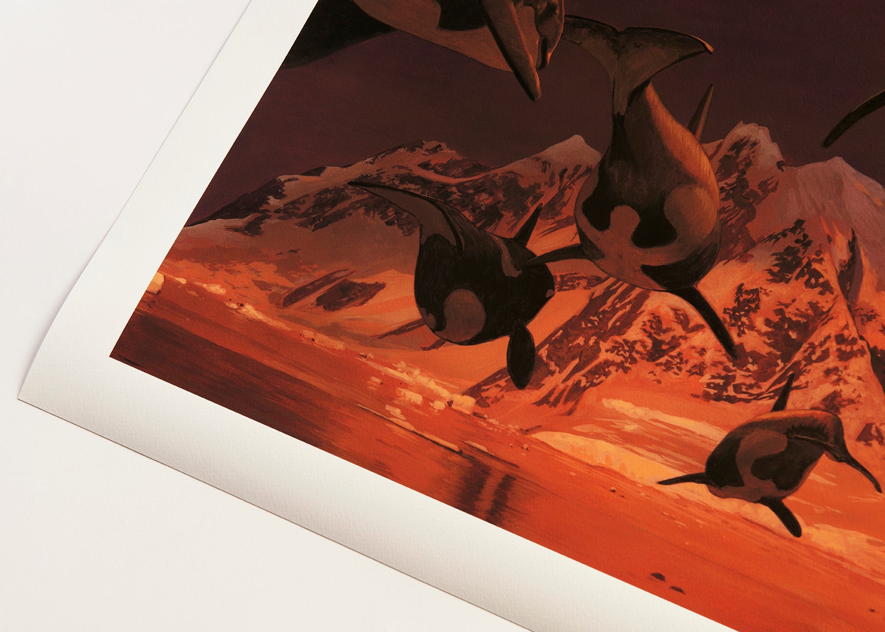In A Silent Way by Chris Austin is a signed and numbered archival pigment print, depicting orcas beneath an orange sky and snow-capped mountains. The artworks white border adds to its allure.