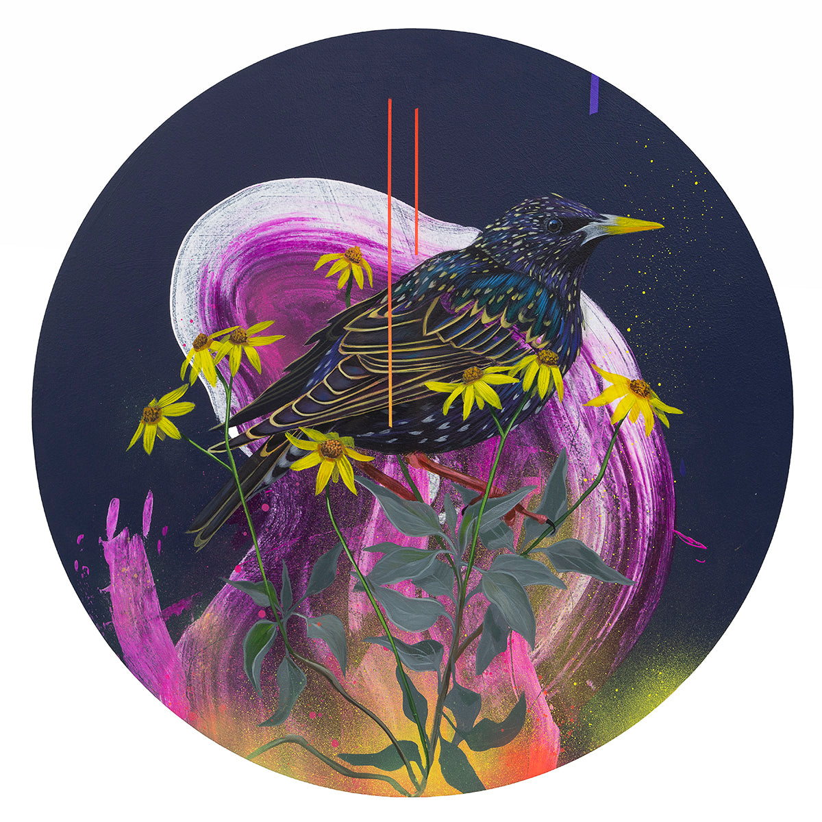 Shakespeare Burden by Frank Gonzales features a starling bird amid yellow flowers, vibrant pink, purple, and navy blue abstract brushstrokes, plus two vertical red lines. Its available as a signed and numbered archival pigment print.