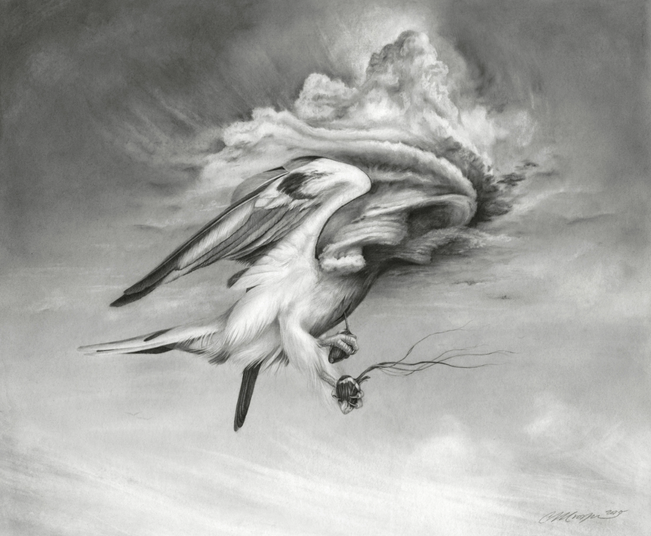 Christina Mrozik's "Coraticum"