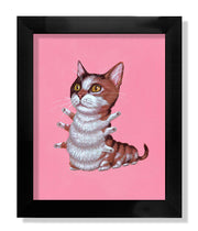 "Calico Cat"