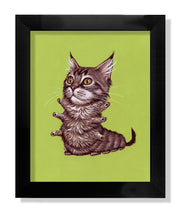 "Maine Coon"