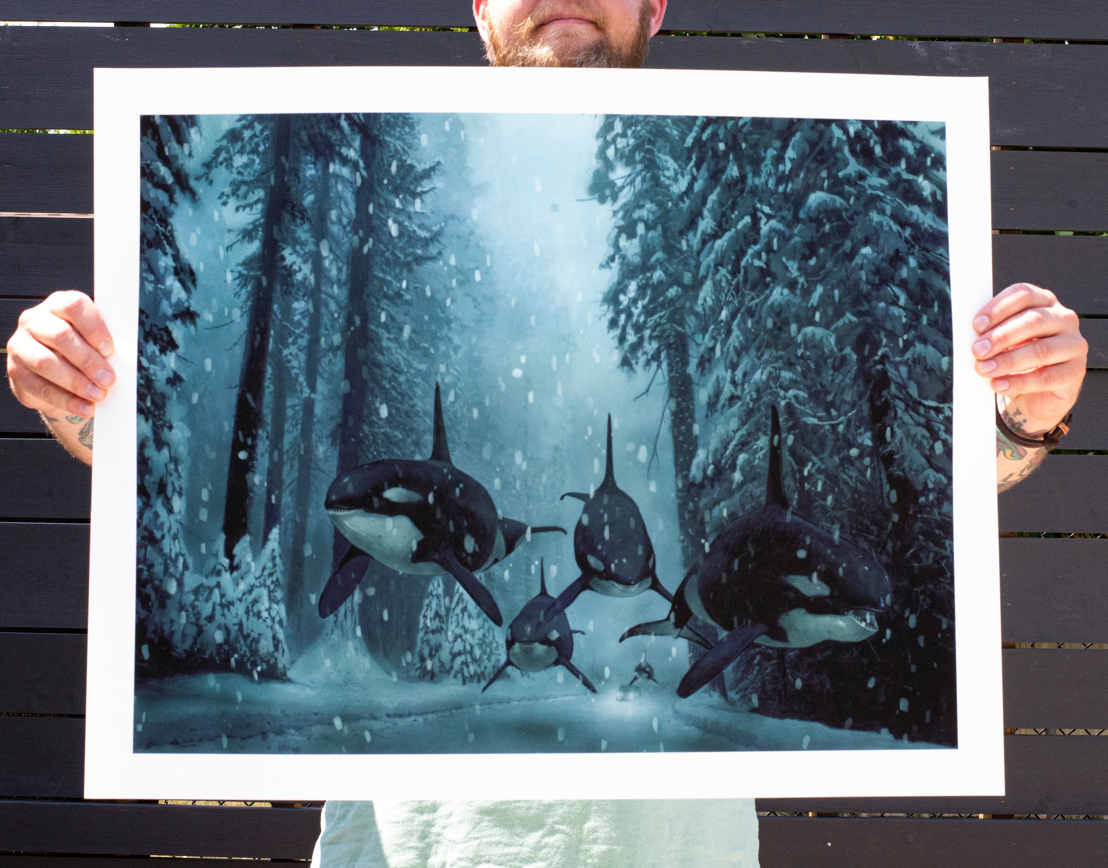 Someone holds a signed and numbered A Quiet Dream by Chris Austin, featuring four orcas swimming through a snowy forest with snowflakes falling among tall, snow-covered trees in this stunning archival pigment print.