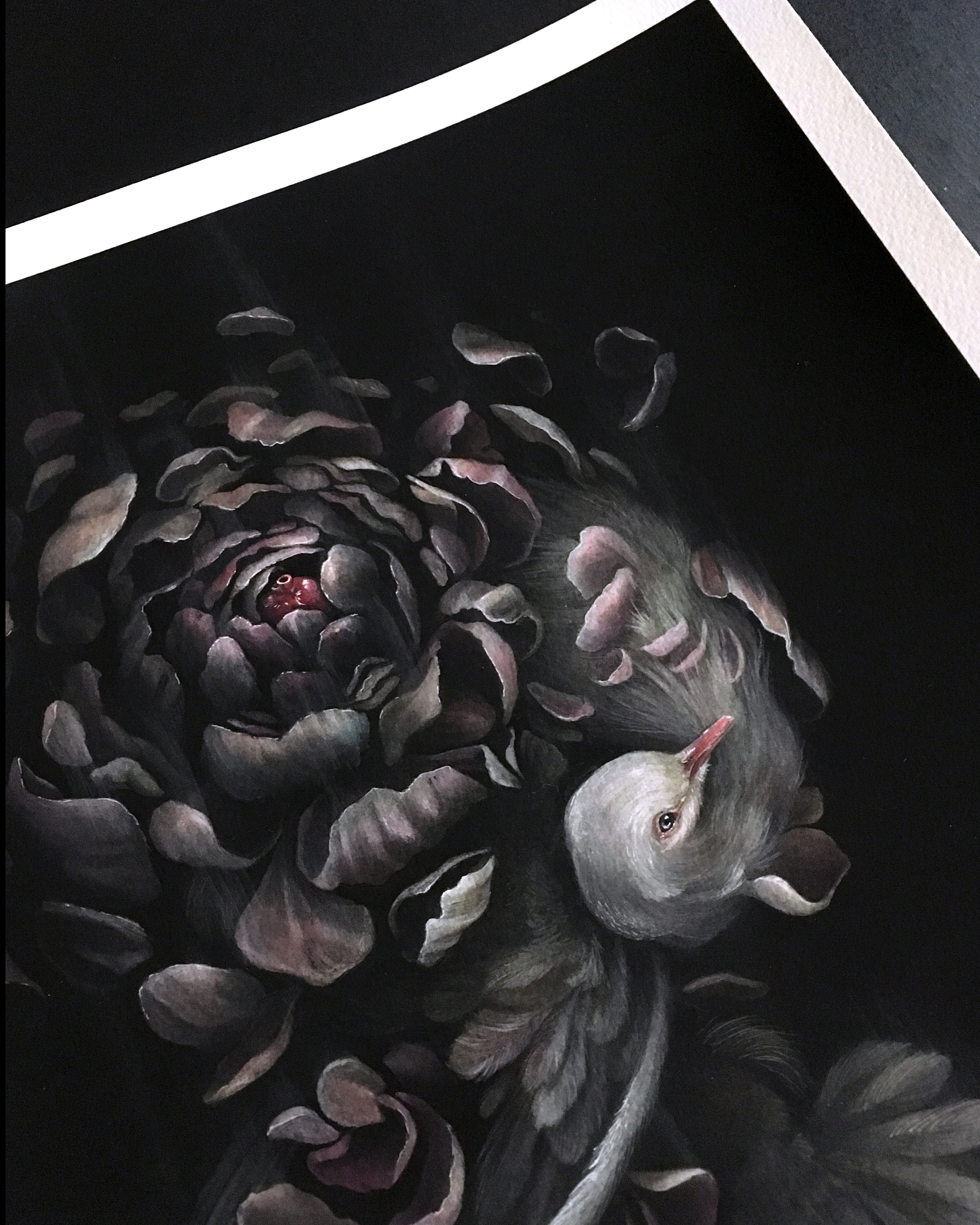The archival pigment print Made By Surrender by Christina Mrozik depicts a white bird intertwined with pink and gray flower petals on a dark background, with swirling petals adding movement and depth.