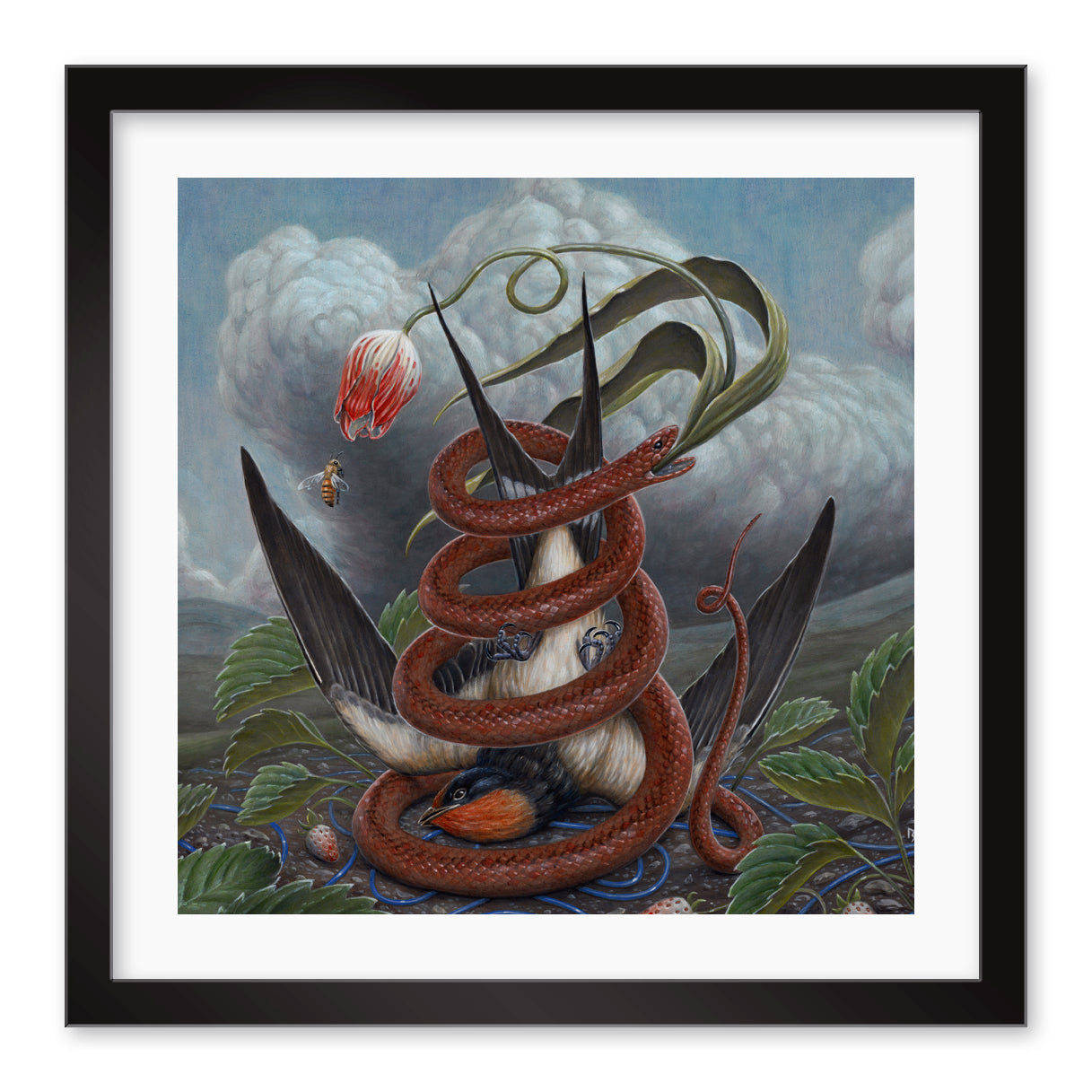 The limited edition A Slow Crash by Nick Sheehy portrays a red snake coiled around a bird with black wings, with a tulip and bee floating above in stormy clouds and lush greenery, presented as an archival pigment print in an elegant black frame.