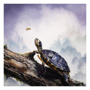 "Box Turtle & Honeybee"