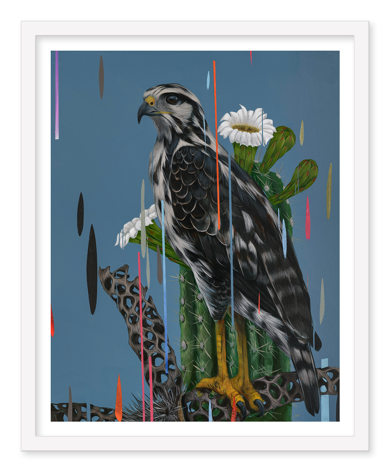 Frank Gonzaless Juvenile Black Hawk features the bird on a cactus against a blue background, with abstract vertical streaks and white flowers adding depth. Its an archival pigment print framed in white.