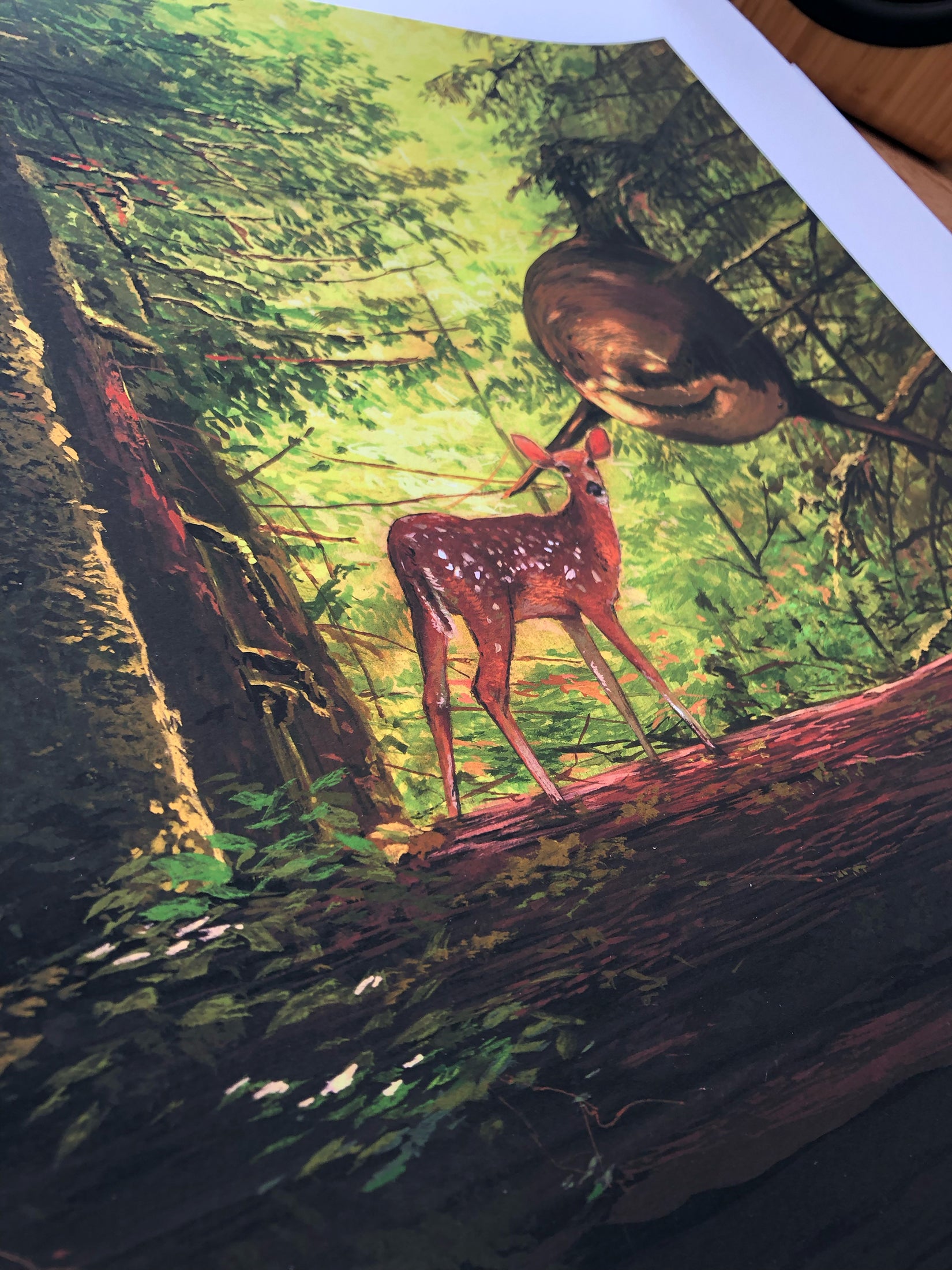 Chris Austins You Cried Out To Me depicts a young deer in a lush forest on a fallen log, with sunlight filtering through the foliage. This limited edition archival pigment print captures the serene scene with vivid green and earthy tones beautifully.