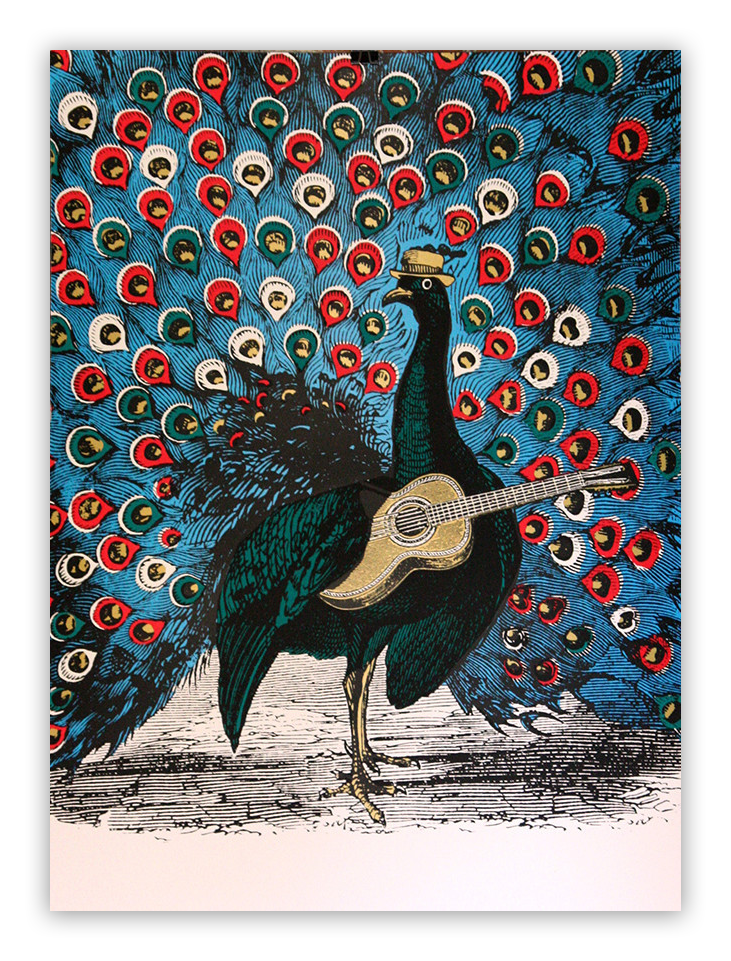 Inspired by Nate Duval, the Peacock Strummer illustration shows a whimsical peacock with vibrant red, blue, and green feathers. It stands upright with a small hat, strumming a guitar.