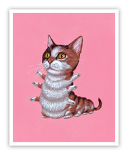 "Calico Cat"