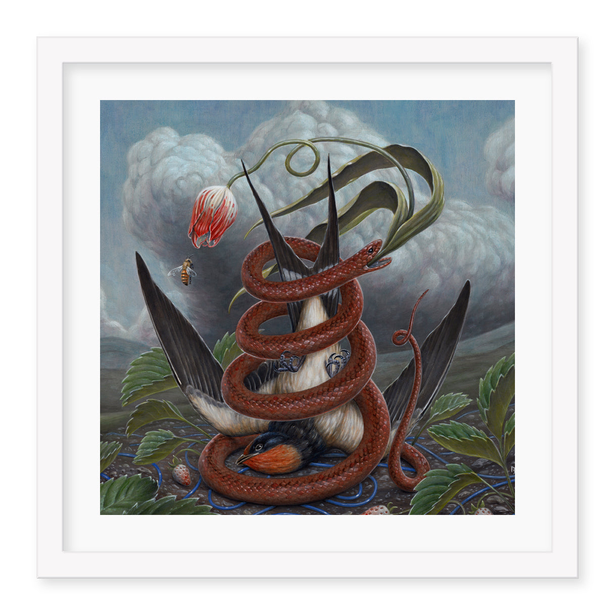 A Slow Crash by Nick Sheehy is a limited edition archival pigment print depicting a bird intertwined with a snake below an arched red lily and a bee, set amid cloudy skies and leafy plants within a white frame.